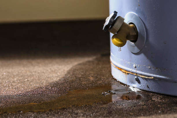 Professional Water damage restoration in Lewisburg, OH