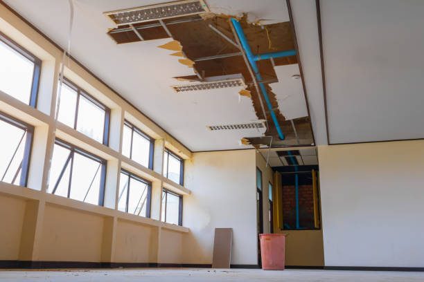 Best Water damage cleanup near me  in Lewisburg, OH