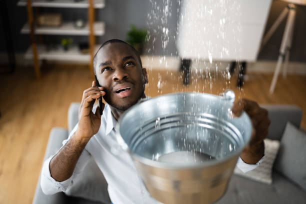 Best Mold removal after water damage  in Lewisburg, OH