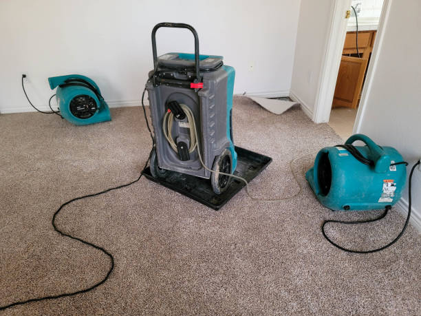Best 24/7 water damage repair  in Lewisburg, OH