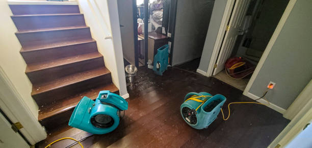  Lewisburg, OH Water damage restoration Pros