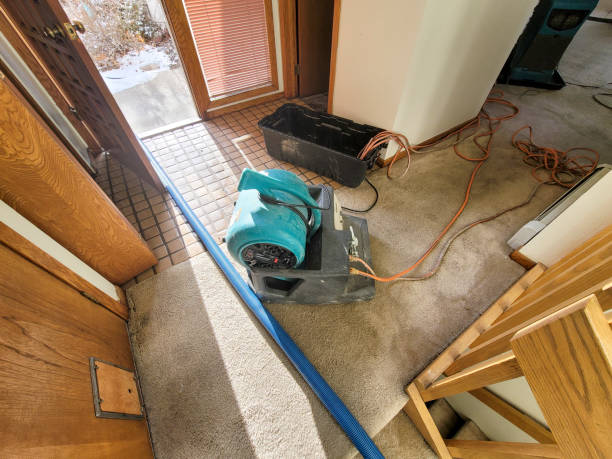 Best Sewage cleanup and water damage restoration  in Lewisburg, OH