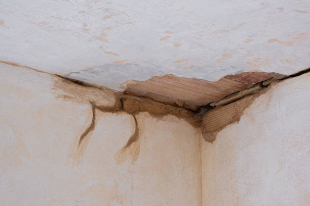 Best Commercial water damage restoration  in Lewisburg, OH