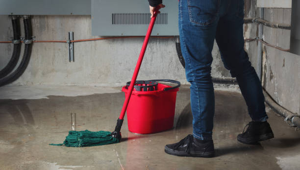 Best Flood restoration services  in Lewisburg, OH