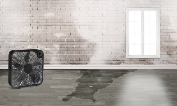 Best Emergency water damage restoration  in Lewisburg, OH