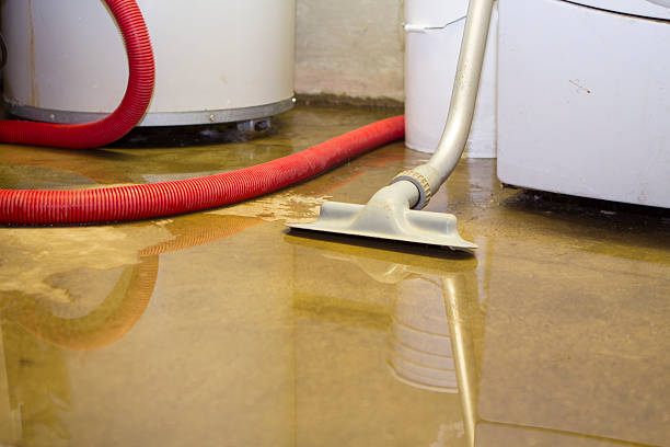 Professional Water damage restoration in Lewisburg, OH