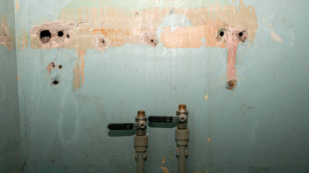 Best Basement water damage restoration  in Lewisburg, OH
