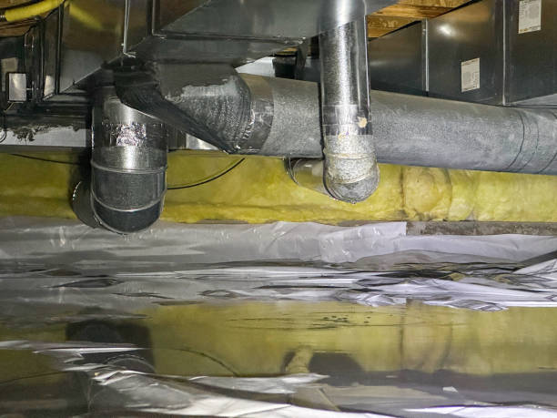 Best Professional water damage repair  in Lewisburg, OH