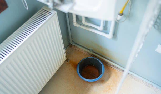 Best Ceiling water damage repair  in Lewisburg, OH