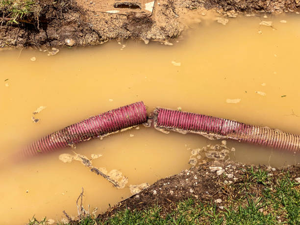 Best Flood damage cleanup  in Lewisburg, OH
