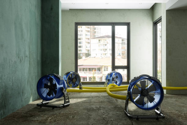 Best Flood restoration services  in Lewisburg, OH